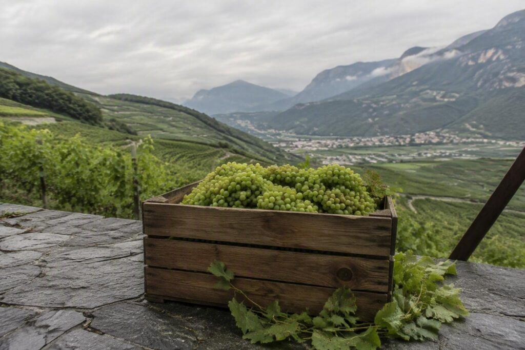 Turismo esperienziale a Trento: vallate, vigneti, botteghe