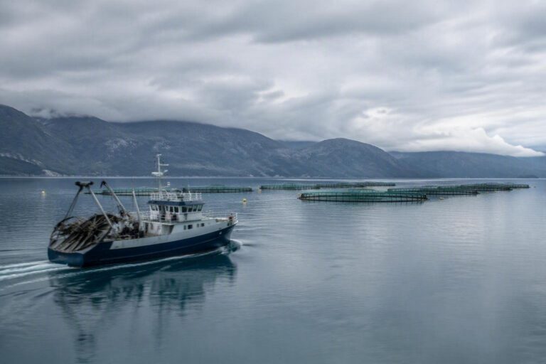 Acquacoltura sostenibile: il progetto Marinet e la campagna Good Aquafood