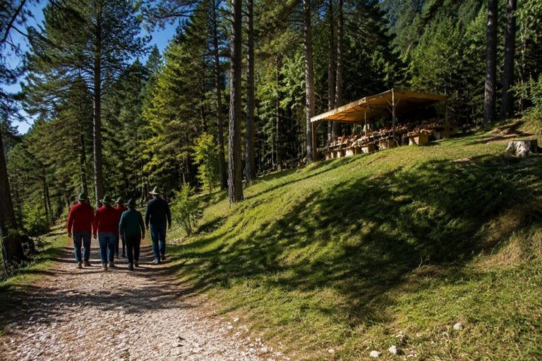 Secondo weekend della festa: convegno, marcia dei funghi e mostre