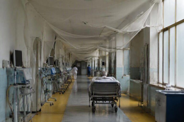 Virus West Nile: decesso a Pasiano di Pordenone, allarme sanitario