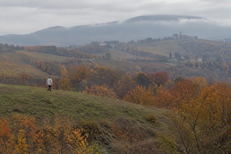 Bollettino meteo Friuli: sole e massime 22°C dal 13 al 16 ottobre