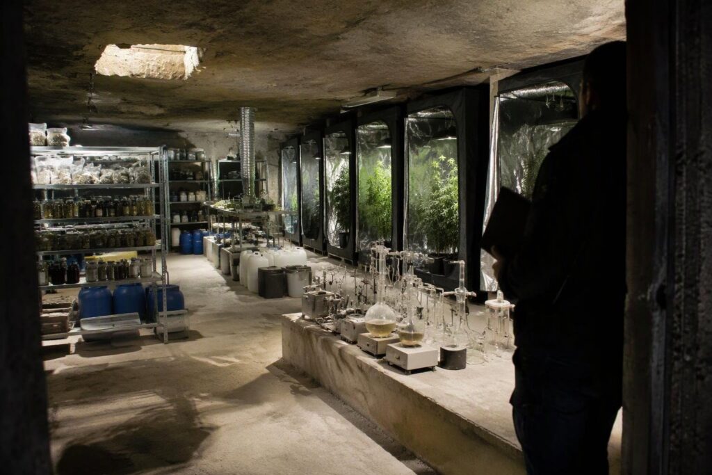 Polizia slovena entra a Postumia e scopre laboratorio di cannabis