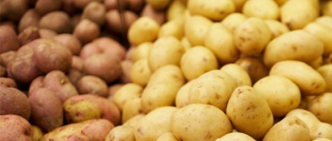 Un composto chiamato solanina che si trova nelle patate pu&ograve; causare dolori addominali e anche paralisi