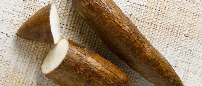 La cassava &egrave; conosciuta con diversi nomi tra cui manioca, yuca e maranta.