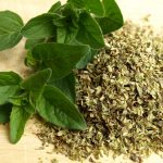 origano
