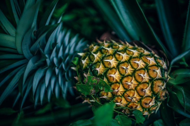 ananas