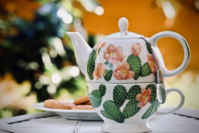tisane dimagranti
