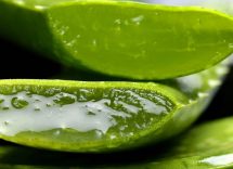 benefici aloe vera