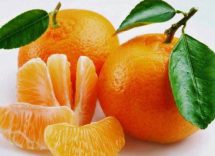 difese immunitarie