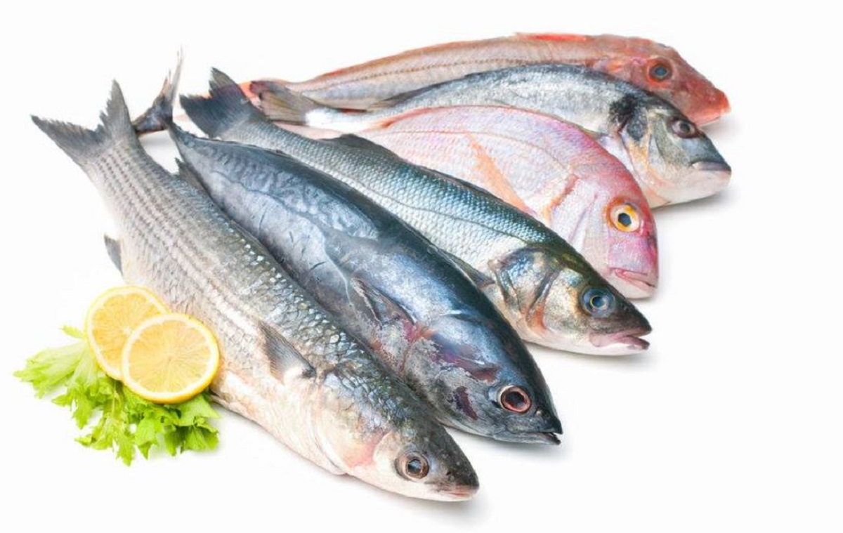 alimenti che contengono iodio