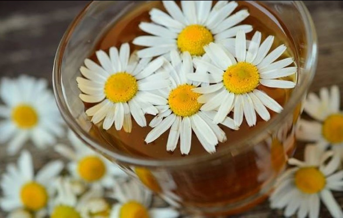 tisane rilassanti bambini