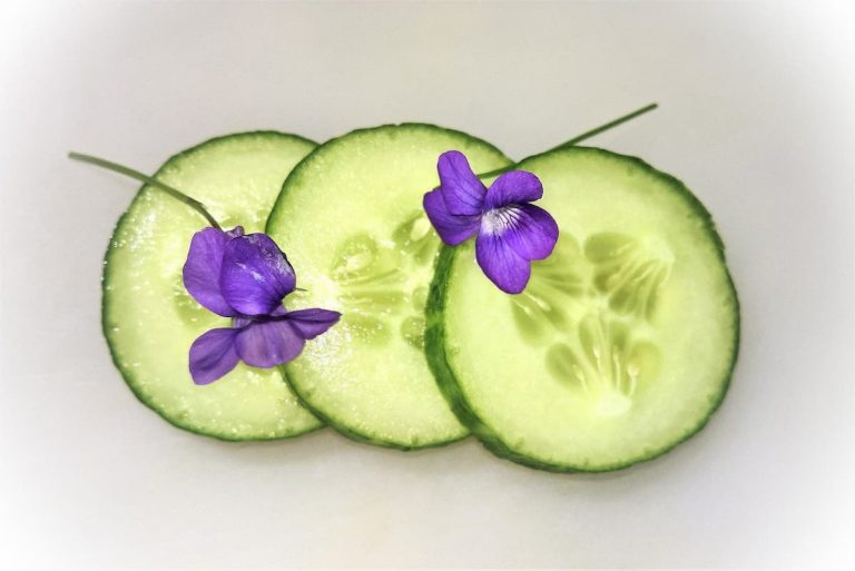 cetriolo
