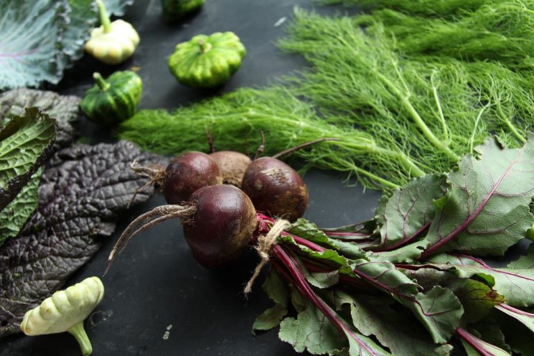 dieta metabolica