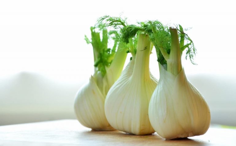 olio essenziale di finocchio