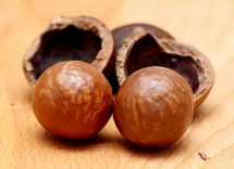 macadamia