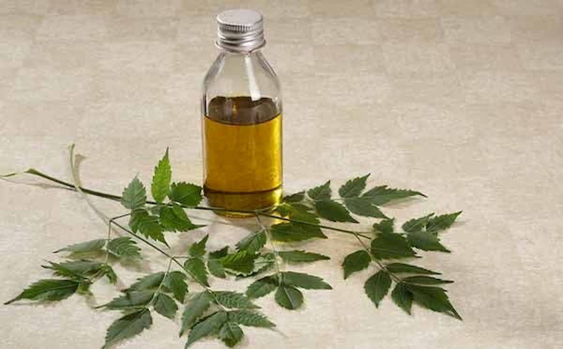 olio neem