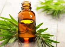 Tea Tree oil antibatterico naturale