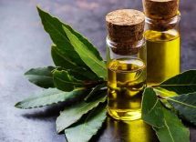 olio alloro