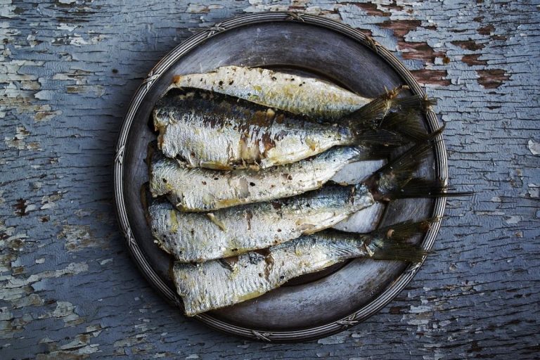 omega3 malattie cardiache