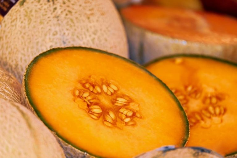 melone