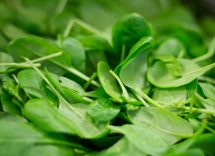 spinaci