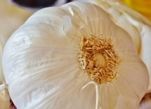 aglio