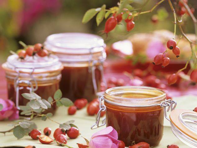 rosa canina propriet&agrave; e benefici