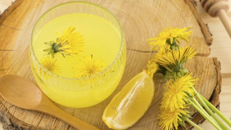 tisana al tarassaco: propriet&agrave; e controindicazioni