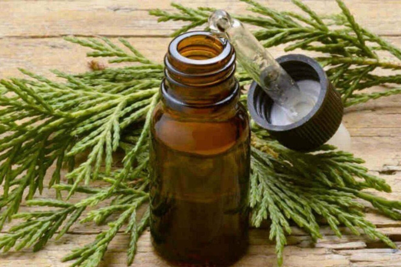olio di cipresso capelli