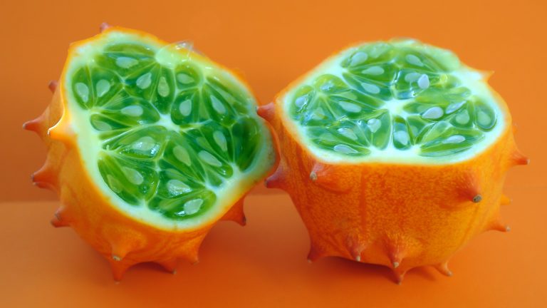 cetriolo africano