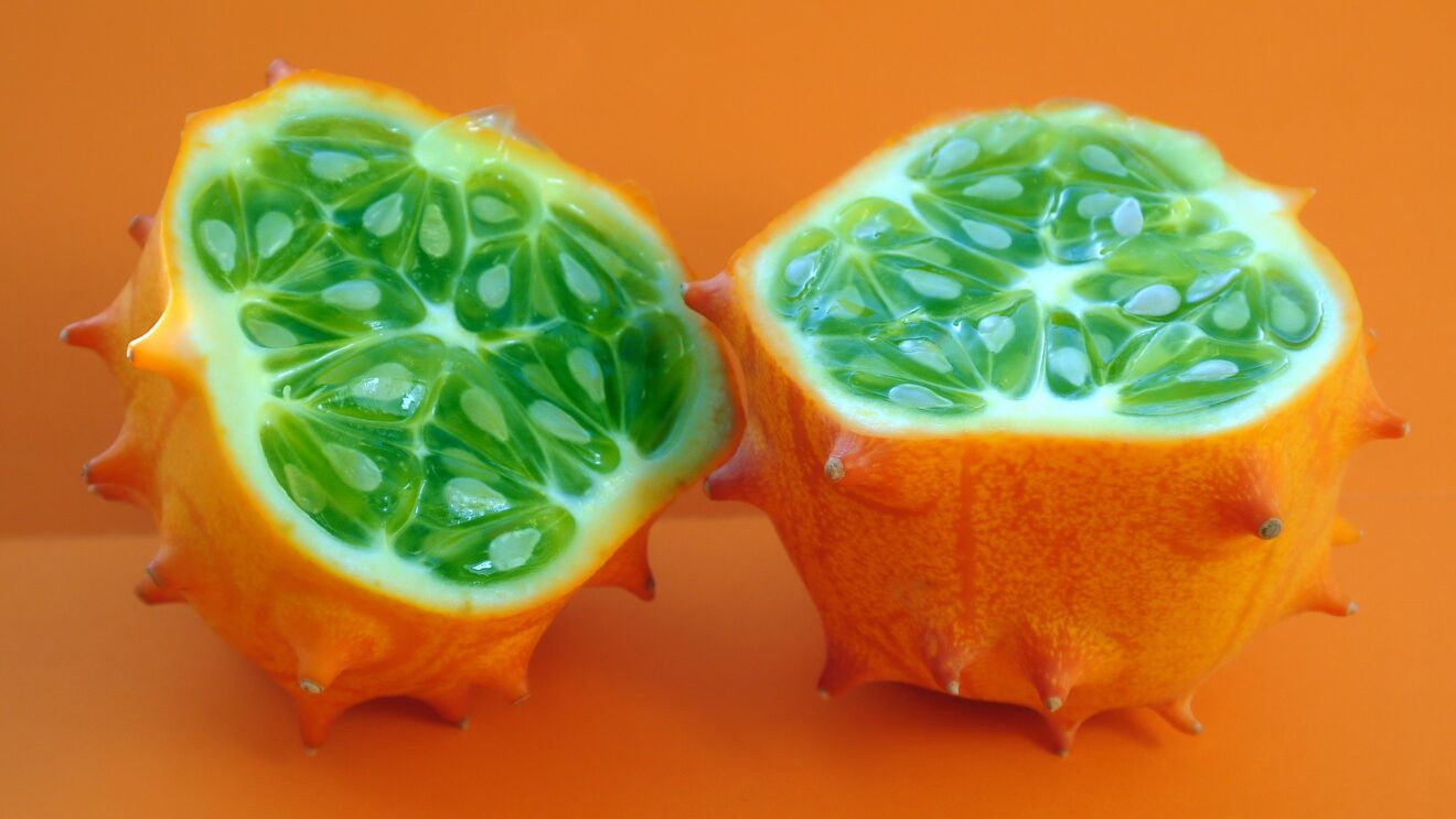 cetriolo africano