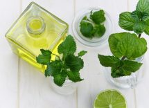 menta capelli