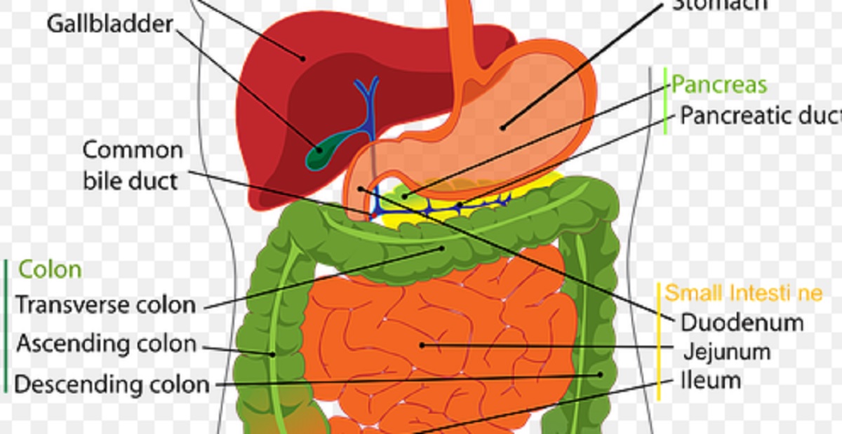tumore neuroendocrino del pancreas
