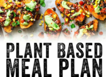 dieta plant