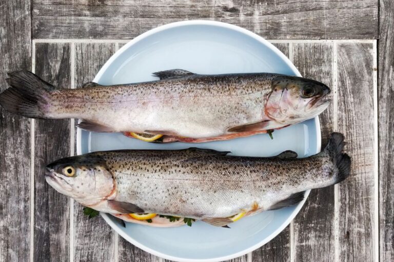 Proteina magra: i vantaggi