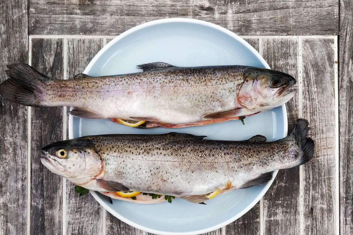 Proteina magra: i vantaggi