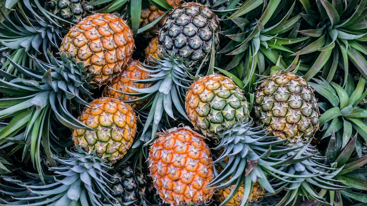 Le proprietà del frutto tropicale