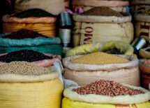 Le proprietà benefiche dei legumi