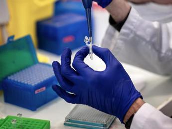 virus oropouche cose e che sintomi da chi rischia e come proteggersi 2