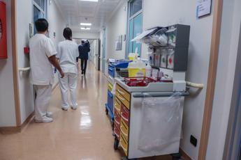 sanita ddl lavoro le proposte fnopi per la valorizzare della professione infermieristica 2
