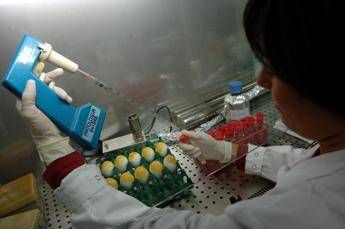 aviaria morto negli usa il primo caso umano di h5n5 2