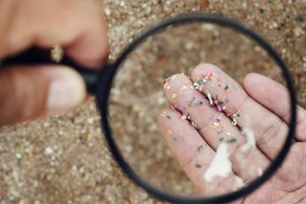 linvasione delle microplastiche trovate in 100 campioni sperma e di 8 tipi diversi 2
