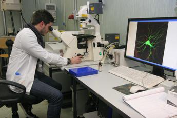 diabete 1 identificati nuovi biomarcatori per trattamento personalizzato 2