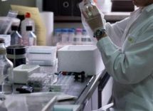 cervello riacceso unora dopo la morte scienziati cinesi aprono nuova strada 2