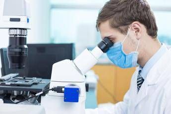 tumori ecco limmunoncologia di precisione per melanoma nuovi biomarcatori predittivi 2