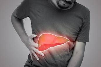 tumori il cancro al fegato cambia metabolismo per resistere alle cure 2