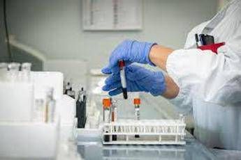 infezioni respiratorie studio evidenzia impatto metapneumovirus su anziani 2