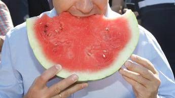 nutrizionista contro il caldo anguria e frutti estivi per integrare naturalmente i sali minerali 2