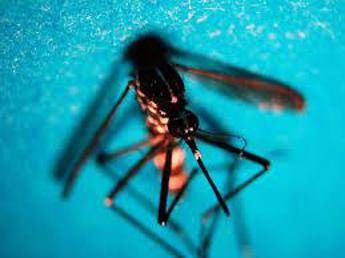 west nile fism apprezzamento per attivita dipartimento prevenzione ministero salute 2