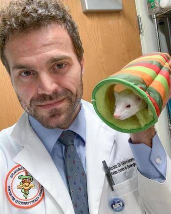 estate animali esotici da soli a casa il veterinario non piu di 24 ore 2